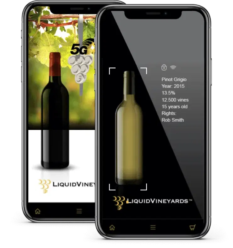 Liquid Vineyards Case – solution illustration